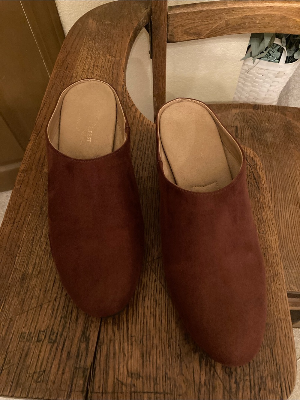 A2 AEROSOLES HEEL REST Velveteen Heeled Mules Like New!